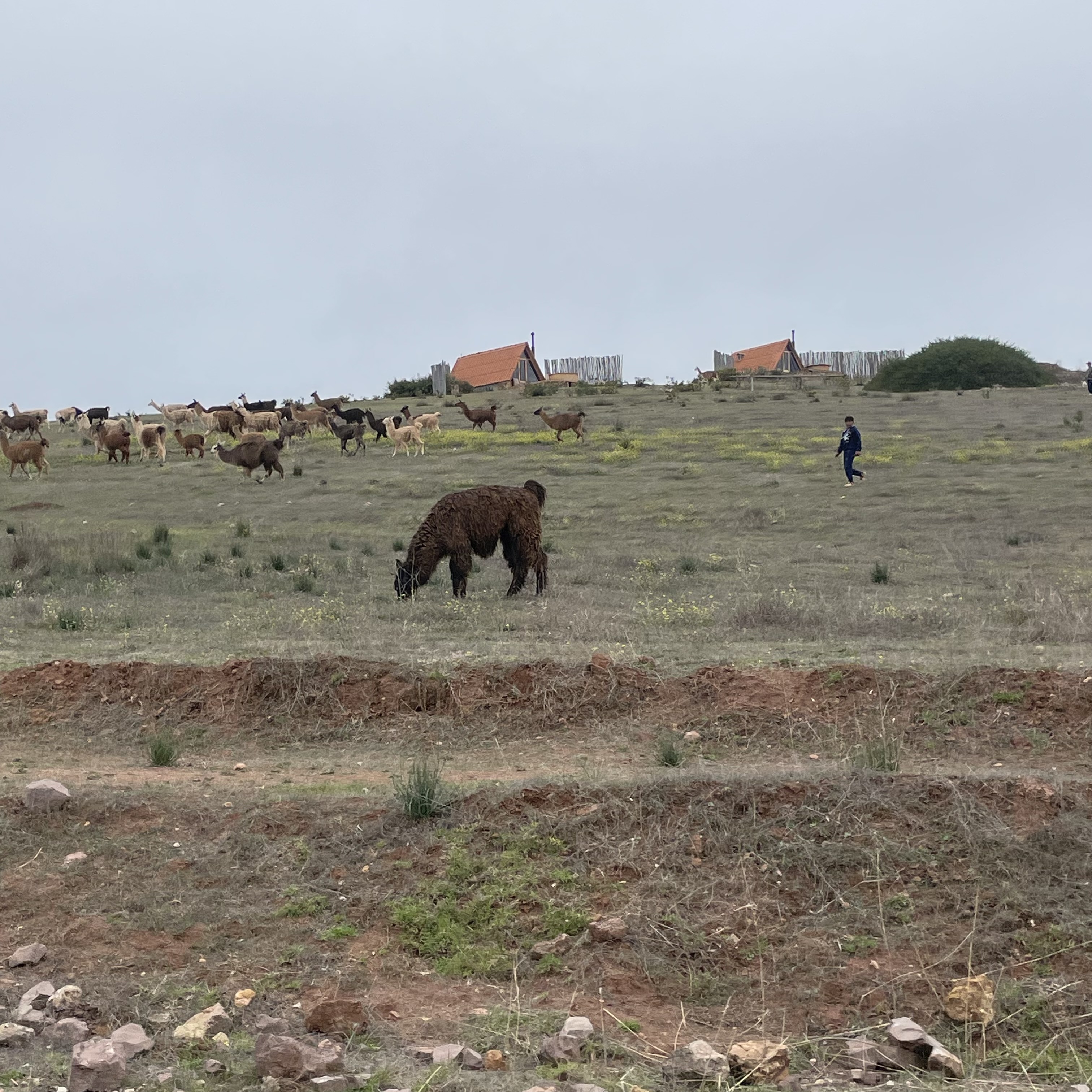 Foto 4 de Fam. Berman