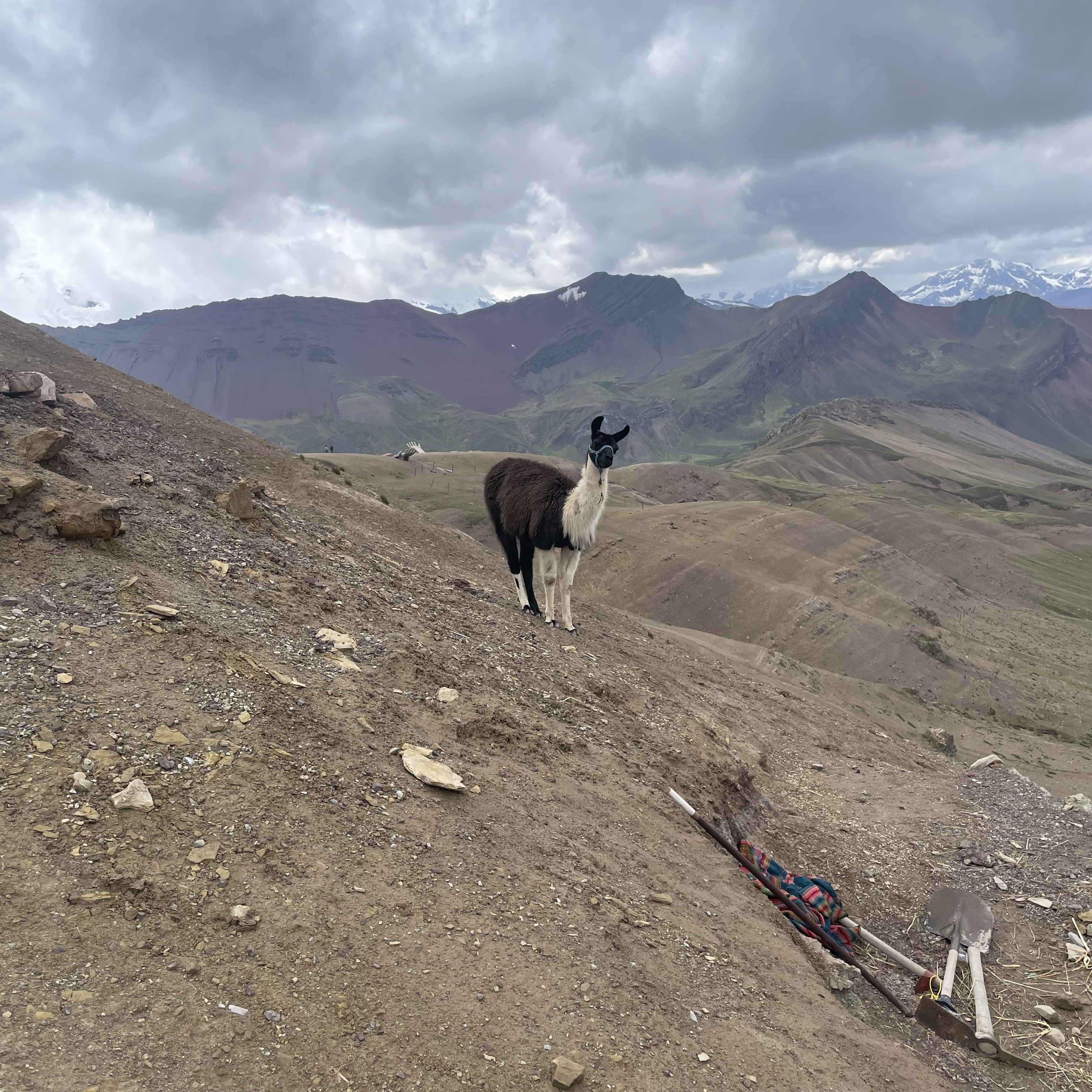 Foto 5 de Fam. Berman