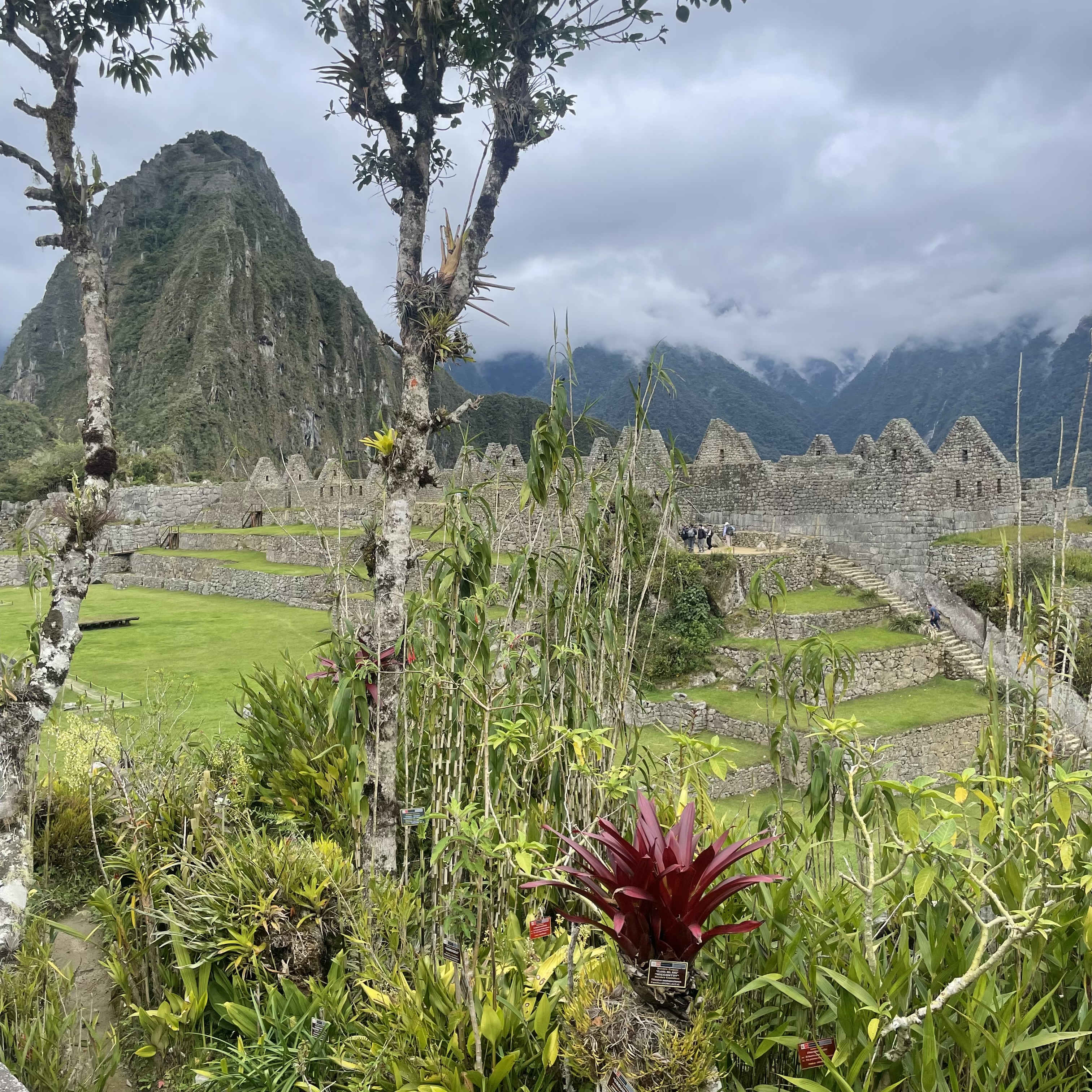 Foto 9 de Fam. Berman