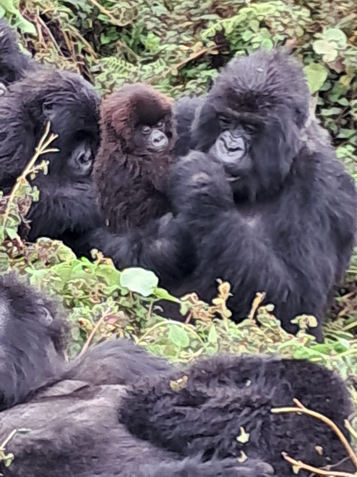 Foto 2 de Jacqueline Nisenbaum